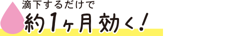 滴下するだけで約1ヶ月効く！