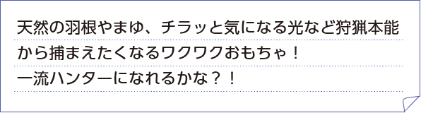 天然の羽根やまゆ、チラッと気になる光など狩猟本能から捕まえたくなるワクワクおもちゃ！一流ハンターになれるかな？！