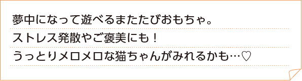 夢中になって遊べるまたたびおもちゃ。ストレス発散やご褒美にも！
  うっとりメロメロな猫ちゃんがみれるかも…♡