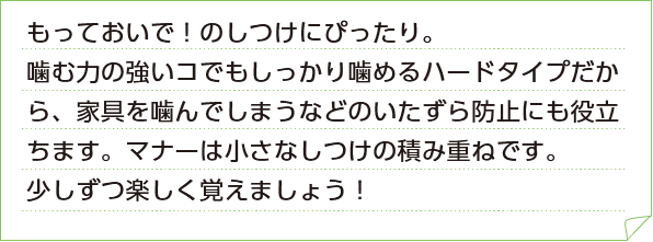 もっておいで！のしつけにぴったり。噛む力の強いコでもしっかり噛めるハードタイプだから、家具を噛んでしまうなどのいたずら防止にも役立ちます。マナーは小さなしつけの積み重ねです。少しずつ楽しく覚えましょう！