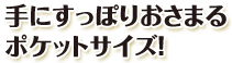 手にすっぽりおさまるポケットサイズ！