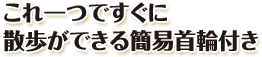 これ一つですぐに散歩ができる簡易首輪付き