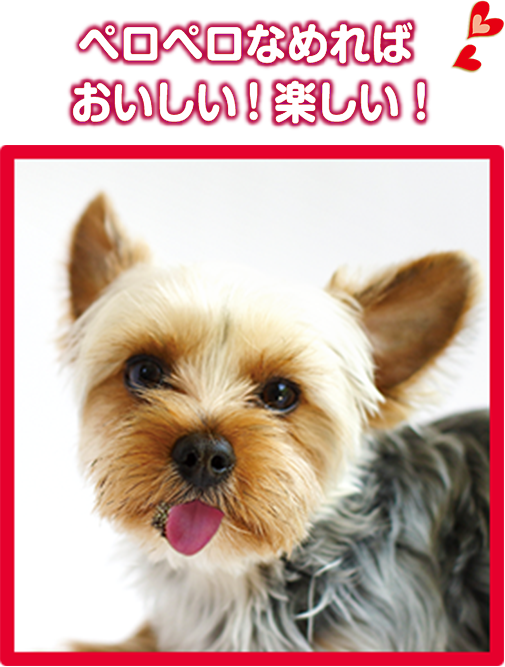 わんペロロ：そのままでも♪トッピングでも♪濃厚ペーストおやつ