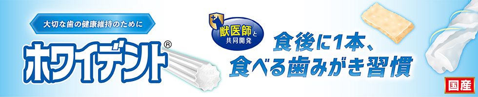ホワイデント