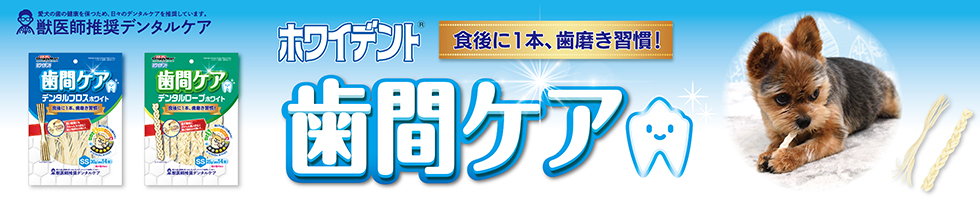 ホワイトデント歯間ケア
