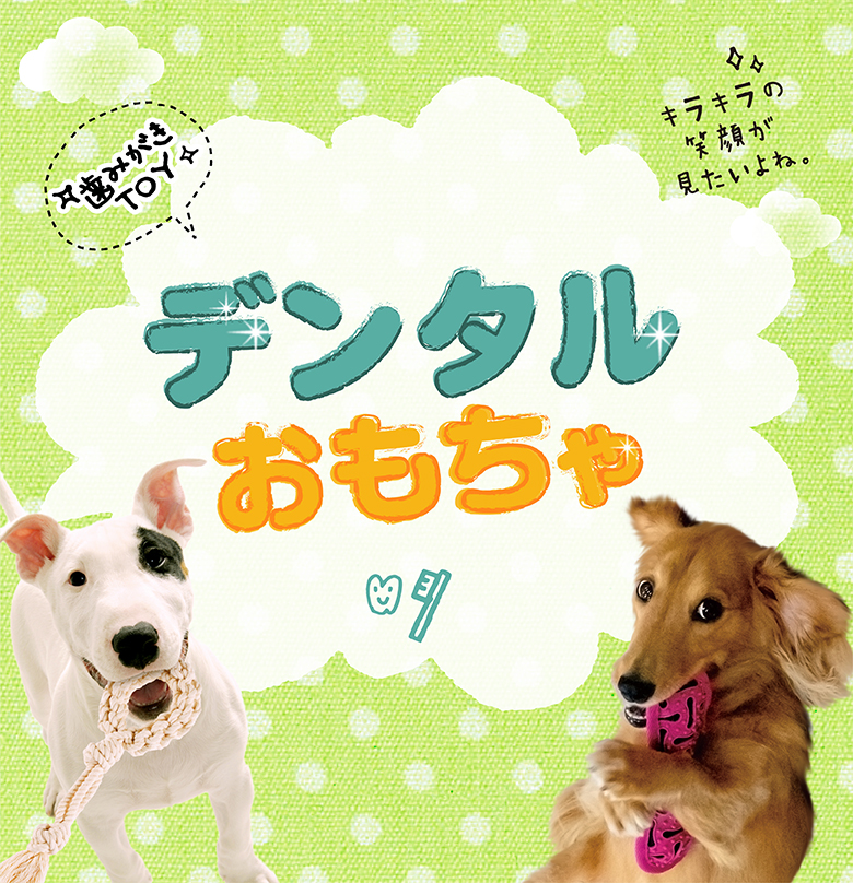 国内外の人気 青りんごの香り ドギーマン 1個 超小〜小型犬