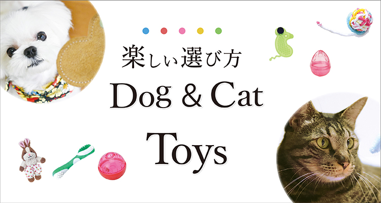 ドギーマン 牛革デンタルトイウサギ 犬用おもちゃ