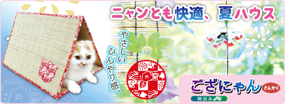 ござにゃん さんかく 朝涼み