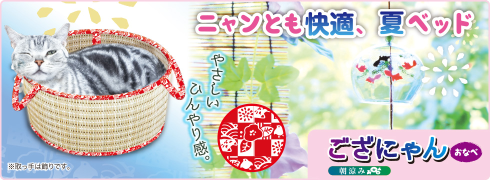 ござにゃん おなべ 朝涼み