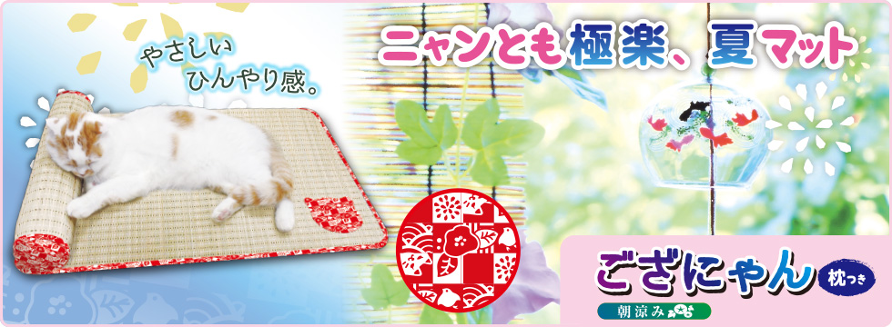 ござにゃん 枕つき 朝涼み