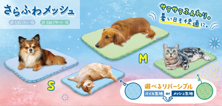 季節のおすすめ商品 ペットライフのよきパートナー Doggyman ドギーマン 季節のおすすめ商品 ペットライフのよきパートナー Doggyman ドギーマン