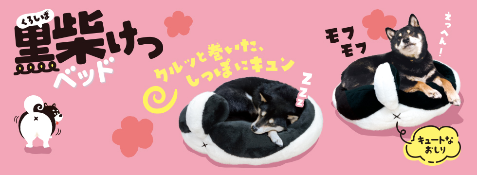 黒柴けつベッド