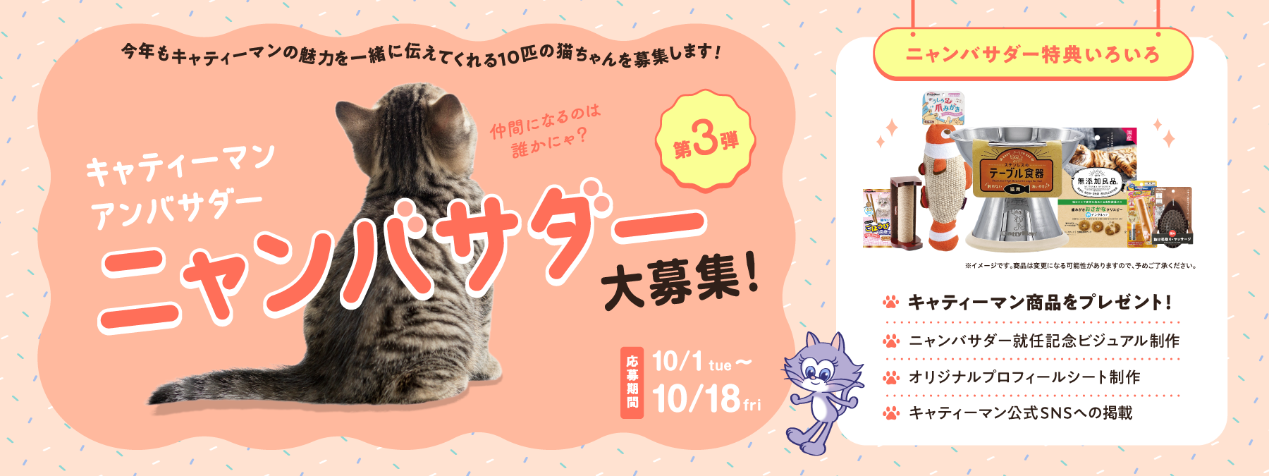 キャティーマン 2023年にゃんバサダー募集