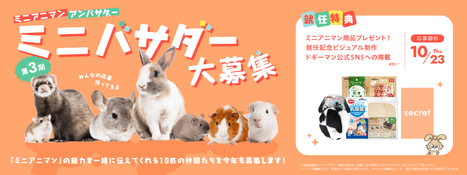 ミニアニマン　アンバサダー　第3期ミニバサダー大募集