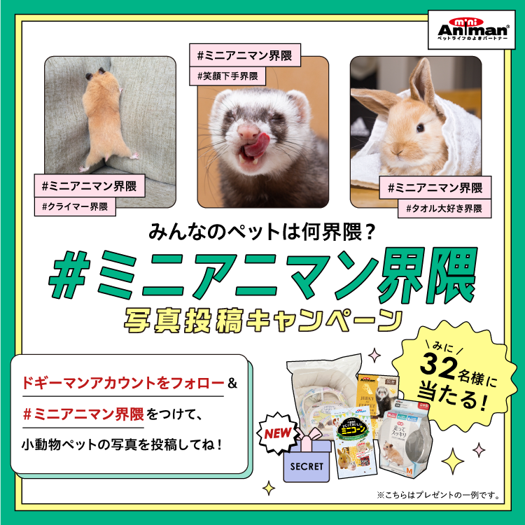 ペットライフのよきパートナー DoggyMan-ドギーマン-