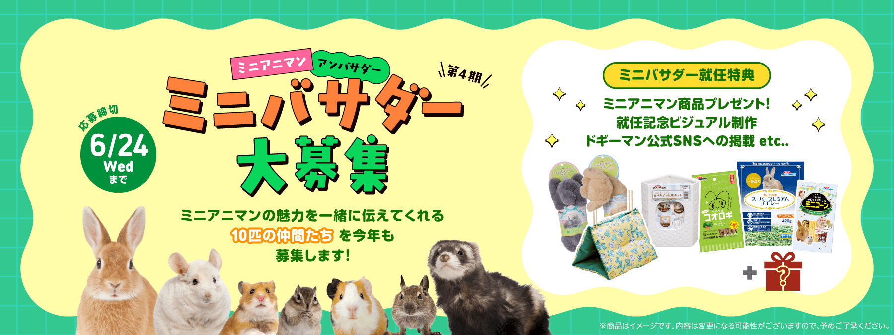 ミニアニマン　アンバサダー　第4期ミニバサダー大募集