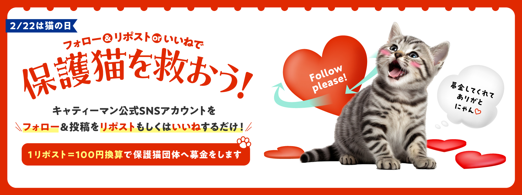 2月22日は猫の日！フォロー＆リポストorいいねで保護猫団体へ寄付ができるキャティーマンの公式SNSにて募金キャンペーン実施