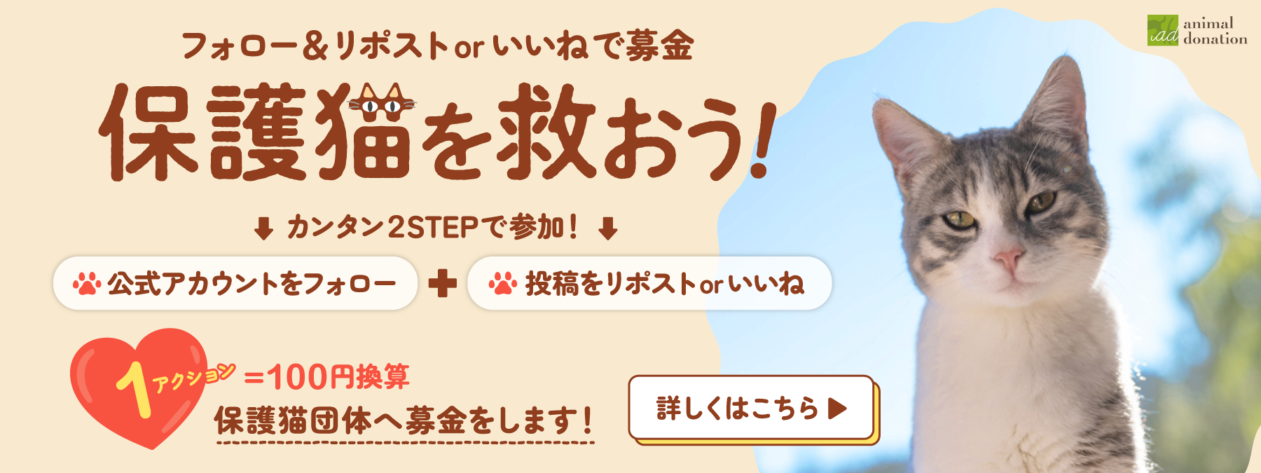 保護猫を救おう