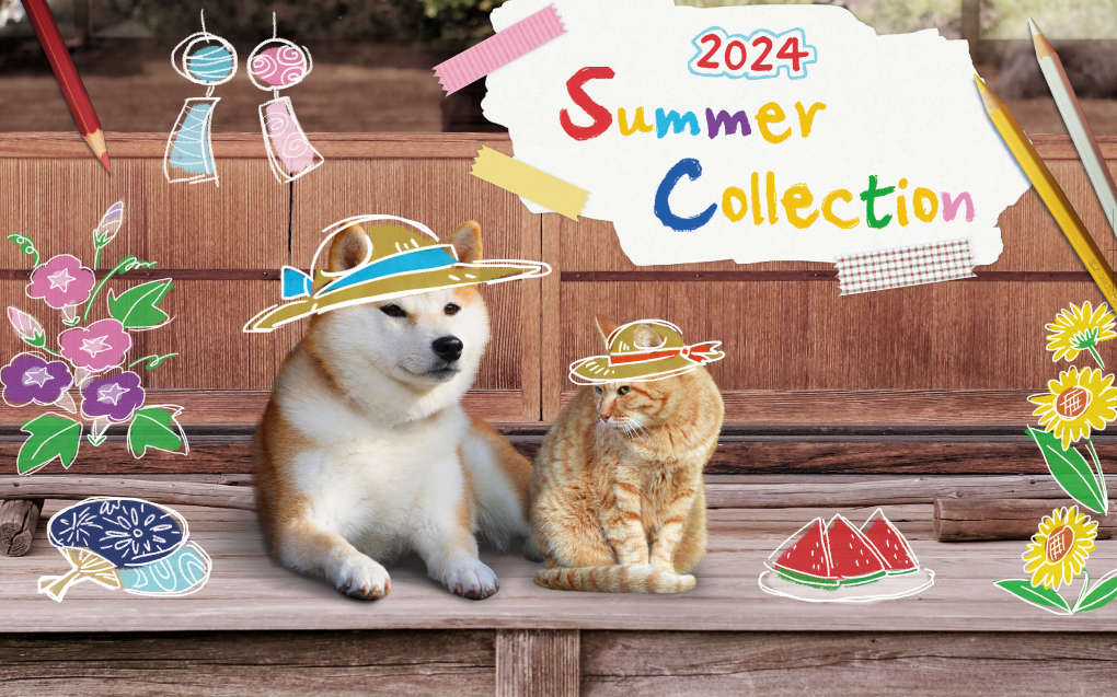 2021 Summer Goods 夏のおすすめ商品