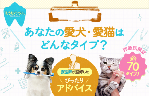 あなたの愛犬・愛猫はどんなタイプ？　おうちデンタル