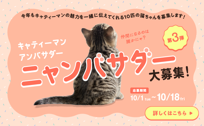 キャティーマン 2023年にゃんバサダー募集
