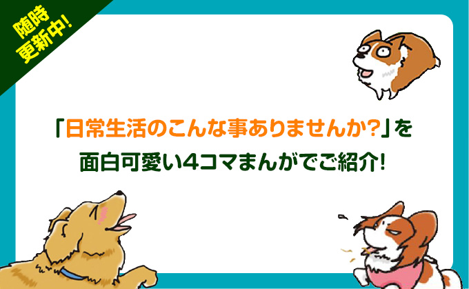 わんちゃんとの生活で役立つ情報を発信! わんコマまんが