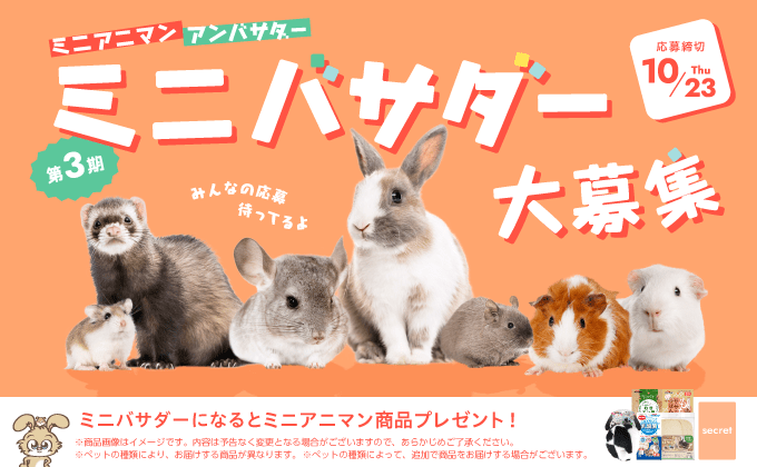 ミニアニマン　アンバサダー　第3期ミニバサダー大募集