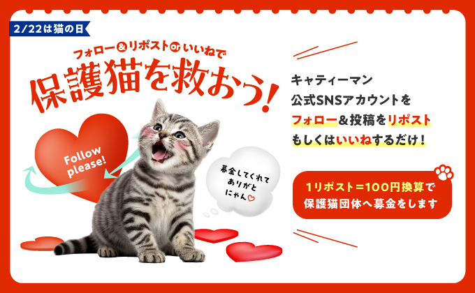 2月22日は猫の日！フォロー＆リポストorいいねで保護猫団体へ寄付ができるキャティーマンの公式SNSにて募金キャンペーン実施