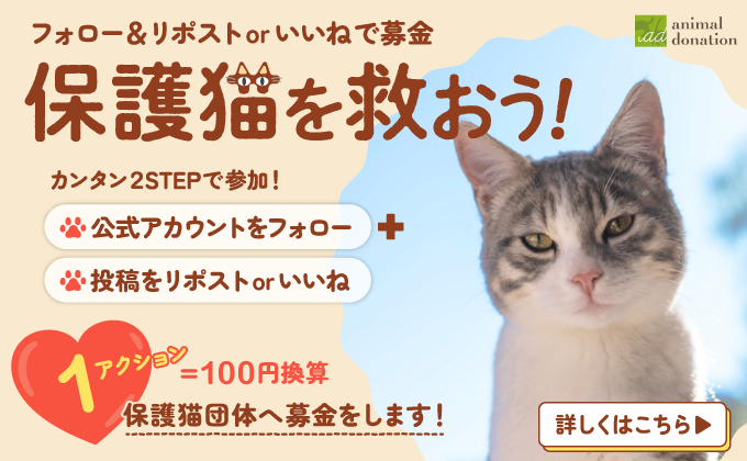 保護猫を救おう