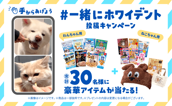 #一緒にホワイデント投稿キャンペーン