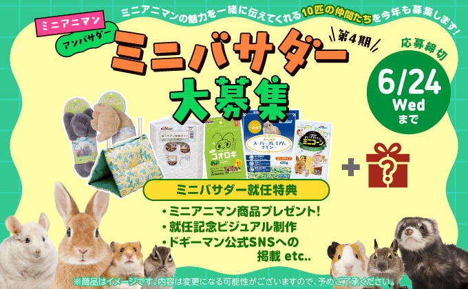 ミニアニマン　アンバサダー　第4期ミニバサダー大募集