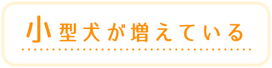 小型犬が増えている