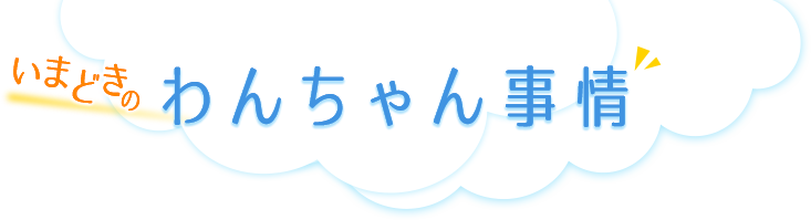 いまどきのわんちゃん事情