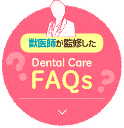 獣医師が監修したDental CareFAQs