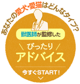 獣医師が監修したピッタリアドバイス 今すぐSTART！