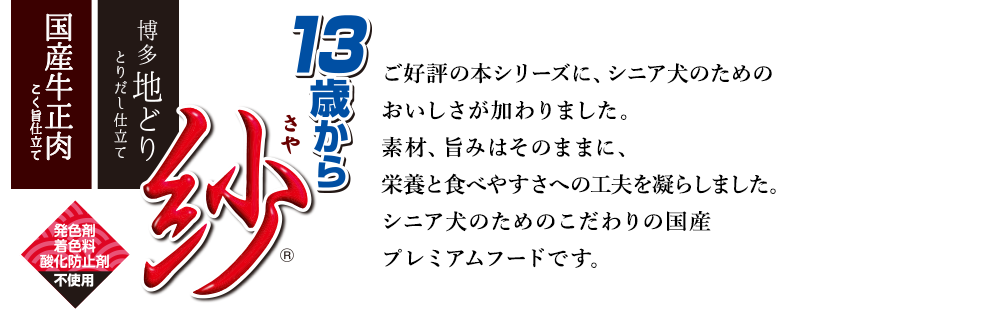 紗 13歳から