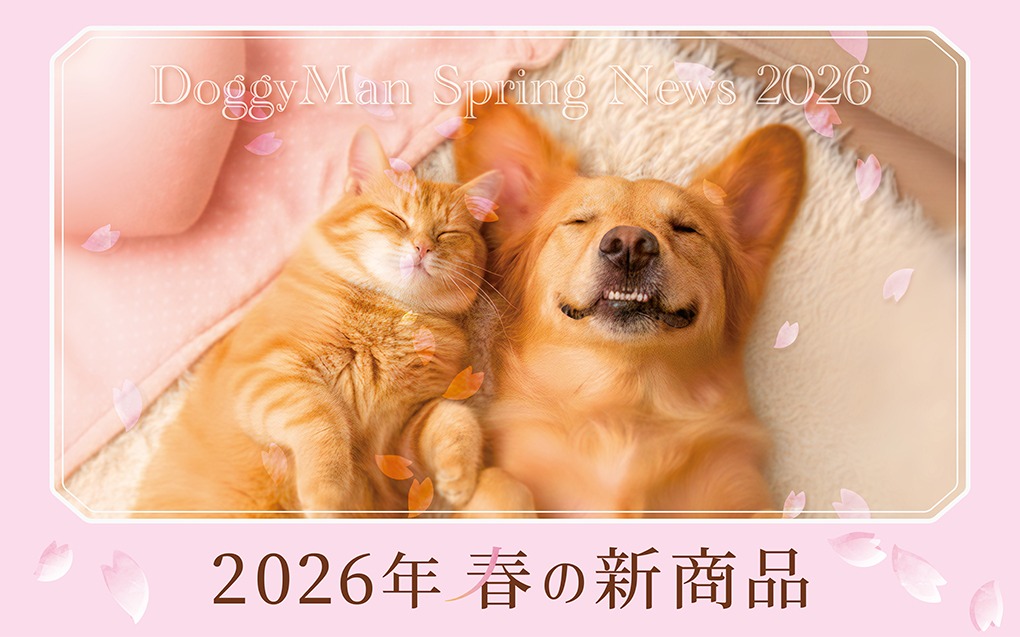 2026 春の新商品
