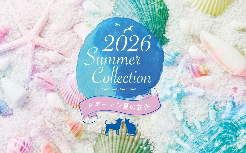 2026 Summer おすすめ商品