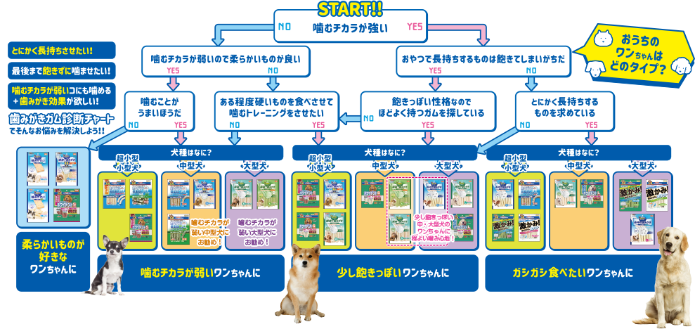 とにかく長持ちさせたい！最後まで飽きずに噛ませたい！噛むチカラが弱いコにも噛める＋歯みがき校歌がほしい！歯みがきガム診断チャートでそんなお悩みを解決しよう！！