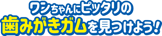 ワンちゃんにピッタリの歯みがきガムを見つけよう！