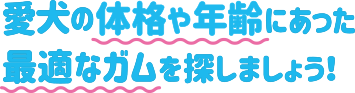 愛犬の体格や年齢にあった最適なガムを探しましょう！