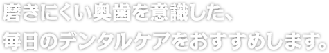 磨きにくい奥歯を意識した、毎日のデンタルケアをおすすめします。