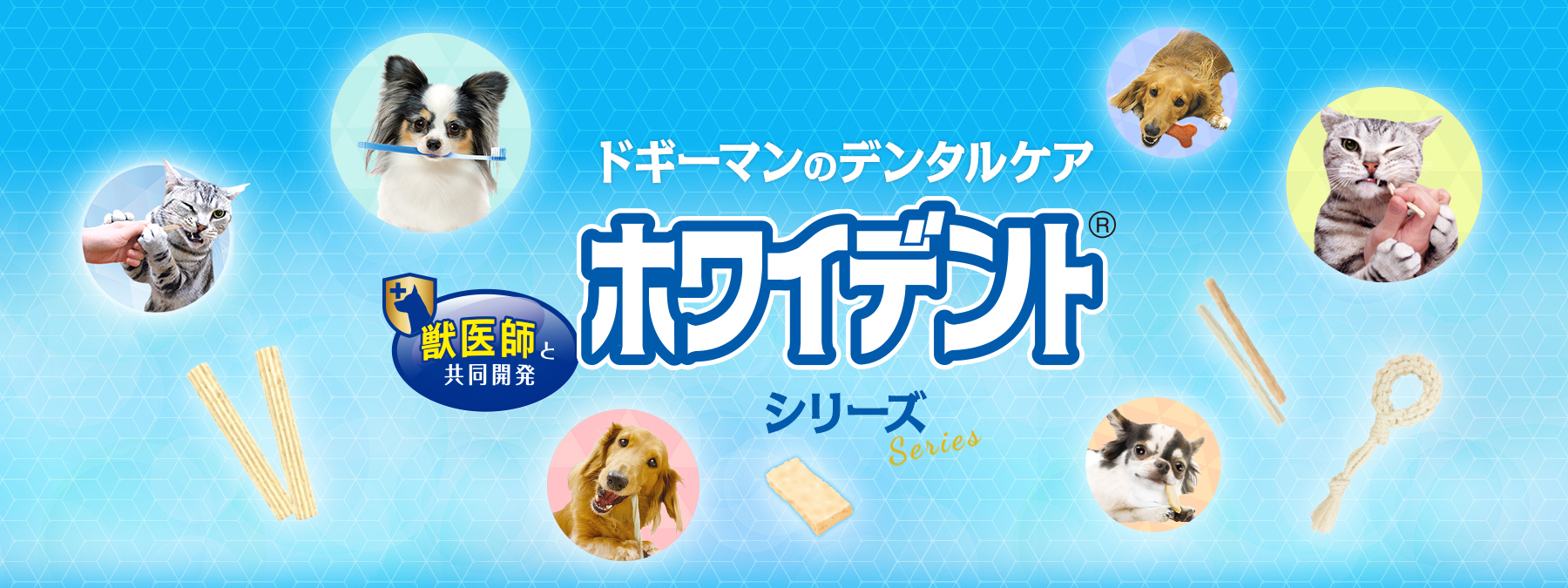 獣医がおすすめするペット歯磨きNo.1 ホワイデントシリーズ