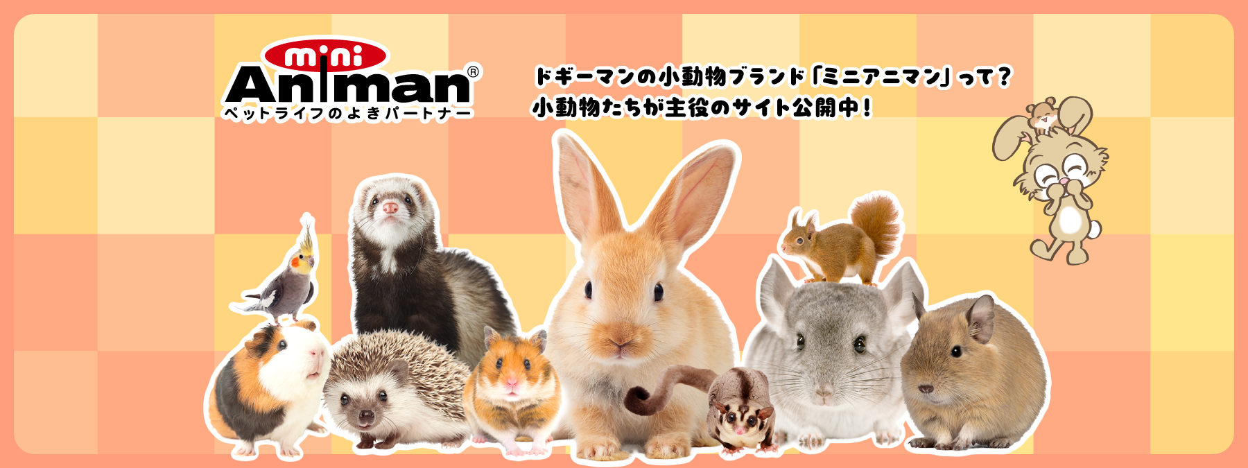 ドギーマンの小動物ブランドミニアニマン。小動物たちが主役のサイト公開