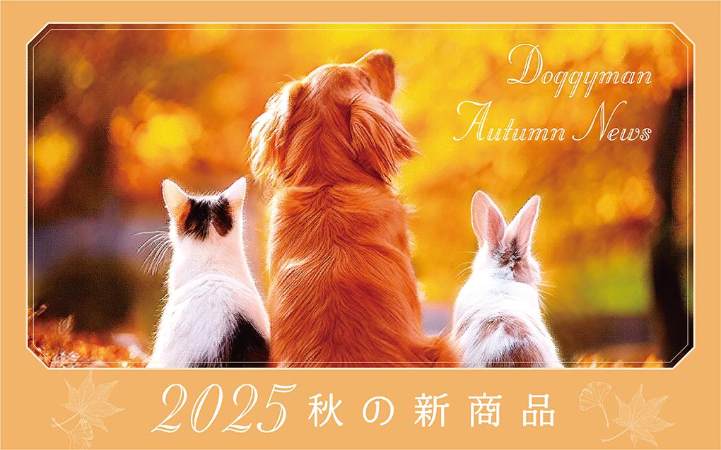 2025 秋の新商品