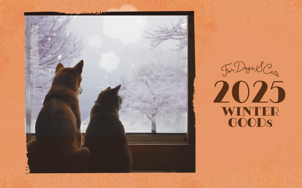 2025 Winter おすすめ商品