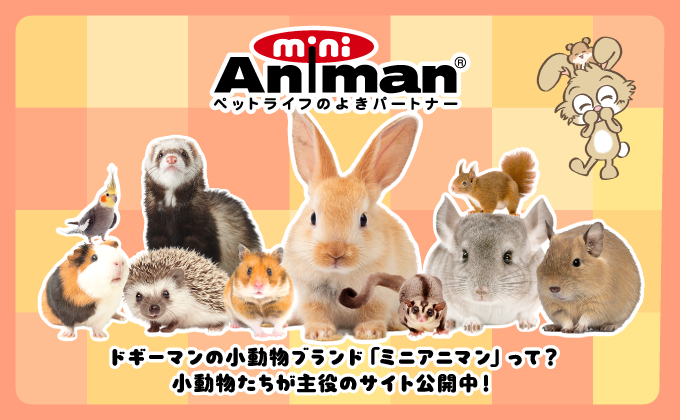 ドギーマンの小動物ブランドミニアニマン。小動物たちが主役のサイト公開
